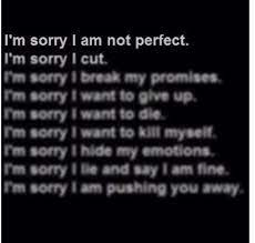 Sorry Im Not Perfect Quotes Quotesgram