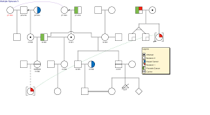 genetics software google search pedigree chart drawing