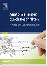 Klaviatur zum ausdrucken,klaviertastatur noten beschriftet,klaviatur noten,klaviertastatur zum ausdrucken,klaviatur pdf,wie heißen die tasten vom. Free Anatomie Lernen Durch Beschriften In Pflege Und Gesundheitsberufen Pdf Download