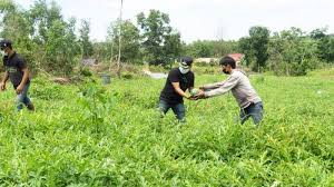 Saat itu, aku merasa bagaikan seorang pelacur yang bersedia melayani apapun yang diinginkan pelanggannya. Https Batam Tribunnews Com 2021 05 20 Hujan Deras Desa Resang Di Lingga Tergenang Banjir Wabup Neko Pantau Ke Lokasi Https Cdn 2 Tstatic Net Batam Foto Bank Images 2005wabup Lingga Neko Jpg Wakil Bupati Lingga Neko Wesha Pawelloy Melihat