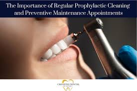 The Importance of Regular Prophylactic Cleaning and Preventive Maintenance  Appointments | Syosset Smiles - Creative Dental of Syosset