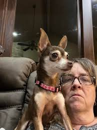 Ellie likes nap time! Barbara Ann Lee Barbara Lee