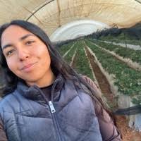 50+ "Lopez-pompa" profiles