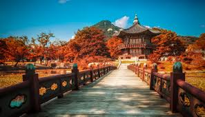 We did not find results for: Tempat Wisata Di Korea Selatan