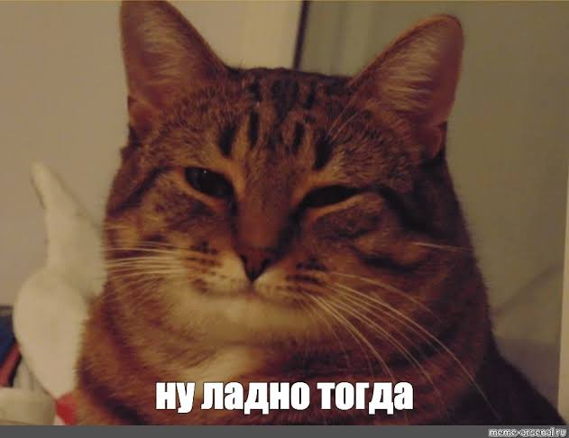 images?q=tbn:ANd9GcS1AiKX4N7hPrH3asUdxEGPNg4p0npCYIRzrw&usqp=CAU