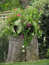 Maybe you would like to learn more about one of these? 10 Amazing Tree Stump Ideas For The Garden Balcony Garden Web