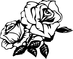 Black And White Rose Transparent Background Dibujos De Rosas Para Colorear Buscar Con Google Tatuagem Rosa Tatuagem Tatoo
