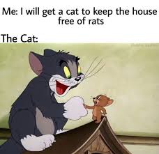 Www.ophosting.club is a place for people to come and share inspiring pictures, and many other types of photos. Tom And Jerry Memes 2020 Tom And Jerry Best Memes Hilarious Memes Jerry Memes Tom And Jerry Memes Funny Cartoon Memes