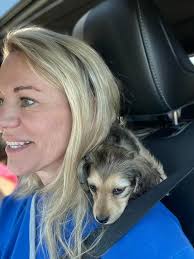 Blessed to bring home adorable travel companions