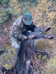 Colorado Elk Hunters