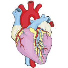 The first single released was the song forgiven, which reached no. How To Draw A Heart How To Draw Cartoons