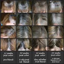 Transitioning To Gray 6 Month Progress Blending In Gray Roots As You Grow Them Out Going G Transition To Gray Hair Gray Hair Growing Out Blending Gray Hair