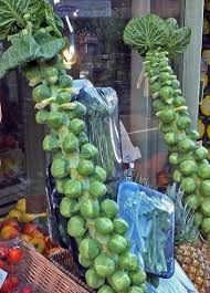 16 Vegetables You Can Plant Now For Fall Harvest Hgtv