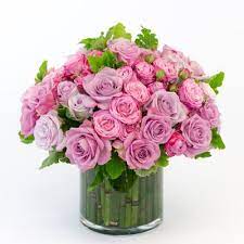 Allen's flowers san diego sihtnumber 92106. Allen S Flowers Plants La Mesa 111 Photos 179 Reviews Florists 5609 Lake Murray Blvd La Mesa Ca Phone Number Yelp