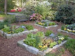 We've compiled our top ten trends in gardening for 2021. 10 Home Garden Trends That Are Surging In 2019