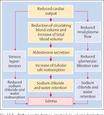 Image result for Localized Edema