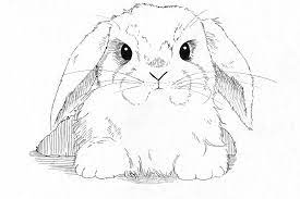 40+ cute bunny coloring pages for printing and coloring. Lop Eared Bunny By Callan Rogers Grazado In 2021 Bunny Drawing Bunny Coloring Pages Animal Coloring Pages