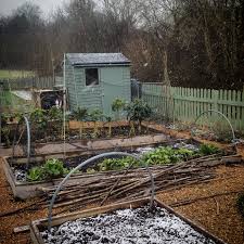Your winter garden isn't complete without a source of heat. Winter Gardening Homegrown Kate