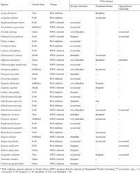 Image result for Diheteropogon amplectens