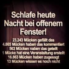 Das Ist Dein Sommer Wenn Du Hitze Hasst Lustige Spruche Witzige Spruche Spruche