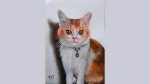 Lukisan 3d lrt masjid jamek. How To Drawing A Cute Cat 3d Art Tutorial Menggambar Kucing 3d Youtube