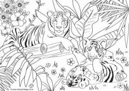 These cute tiger coloring pages for preschoolers will allow them to experiment with various shades of brown and yellow while learning about different species of tiger. Tiger Colouring Pages