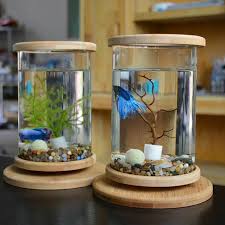 Betta Glass Aquarium Bamboo Base Fish Bowl In 2020 Fish Tank Decorations Betta Fish Bowl Mini Aquarium