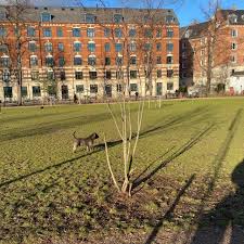 Vor, während und nach ihres aufenthalts in kopenhagen garantiert unser lokales büro durch einen 24/7 service ihre absolute zufriedenheit. Wie Ich In Einer Woche Eine Wohnung Fandstudium Studieren Weltweit