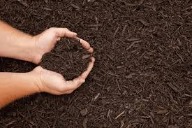 A mulch of gravel is a nice low maintenance addition that keeps plant foliage clean. How To Make The Best Mulch For A Vegetable Garden Bigrentz
