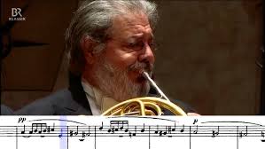 Radius Ensemble: Cerberus by Sean Kisch