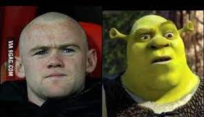 If wayne rooney was in shrek he would look. Wayne Rooney And Shrek 9gag