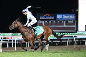 Private Harry Remains Undefeated With $3 Million Sunlight Win