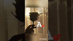 صور خلفيات حلوة وجميلة للاب توب والكمبيوتر بجودة hd. Ø®Ù„ÙÙŠØ§Øª ÙˆØ±Ø¯ Ø®Ù„ÙÙŠØ§Øª Ø§Ø­Ø±Ù Ø¨Ø§Ù„ÙˆØ±Ø¯ Ø®Ù„ÙÙŠØ§Øª Ø§Ø­Ø±Ù Ø§Ù†Ø¬Ù„ÙŠØ²ÙŠØ© Ø®Ù„ÙÙŠØ§Øª Ø£ÙŠÙÙˆÙ† ÙƒÙŠÙˆØª Ø§ÙØªØ§Ø±Ø§Øª Ø®Ù„ÙÙŠØ§Øª Youtube