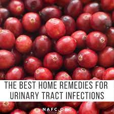 5 Home Remedies For Utis