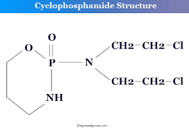 Image result for Cyclophosphamide