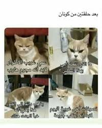 Pin By Ill 25 On ليه مكشر Funny Photo Memes Cute Love Memes Fun Quotes Funny