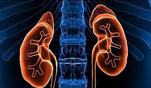 Didihkan air dan biarkan teh mendidih selama 3 menit, lalu matikan api. Agar Ginjal Tidak Rusak Ini 8 Tips Ampuh Turunkan Kreatinin Gaya Tempo Co