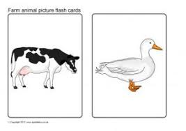 Check spelling or type a new query. Animal Flash Cards Printables For Primary School Sparklebox