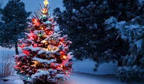 How to make a greeting card. Christmas Cards Free Christmas Wishes Greeting Cards 123 Greetings