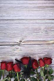 تحميل خلفيات اشجار وورود 2020 مناظر اجمل الاشجار الطبيعية. ÙˆØ±ÙˆØ¯ ØµÙˆØ± Ø§Ù„Ø®Ù„ÙÙŠØ© 49 Ø§Ù„Ø®Ù„ÙÙŠØ© Ø§Ù„Ù…ØªØ¬Ù‡Ø§Øª ÙˆÙ…Ù„ÙØ§Øª Ø¨Ø³Ø¯ Ù„Ù„ØªØ­Ù…ÙŠÙ„ Ù…Ø¬Ø§Ù†Ø§ Pngtree