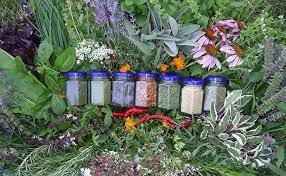 Afaceri in zona de servicii. Idei De Afaceri Mici Afaceri Agricole Sub 5 000 Euro Cultiva Profitabil