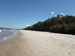 Entdecke 830 anzeigen für garten ostsee zu bestpreisen. Ostsee Appartement Garten Im Kiefernwald Facebook
