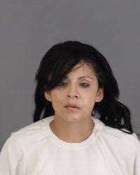 Stolen Vehicles Recovered