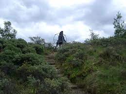 The germans used the waalsdorpervlakte (plain) in the dune area meijendel in wassenaar (near the hague) during wwii as a fusillade. Waalsdorpervlakte Wikipedia