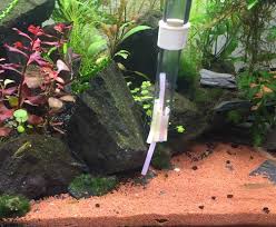 10 points11 points12 points submitted 2 months ago by lx881219. ãƒ¬ã‚¤ã‚¢ã‚¦ãƒˆæ°´æ§½ã§ç†±å¸¯é­šé£¼ã†ãž æ°´æ§½æŽƒé™¤ã®ã‚¢ã‚¤ãƒ†ãƒ 