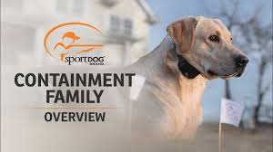 Unless you have a cat in the yard with claws that can climb wood. In Ground Fencing Underground Dog Fence Sportdog