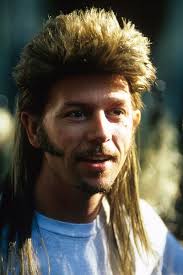 Johanna retired from from cutting hair 8 years ago. Mullets Now Illegal In Iran Will Snag You A Discount At The Zoo In The States Glamour