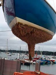 Image result for Red Antifouling Ship Bottom Paint 1918 Military