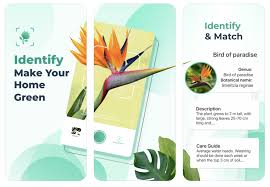 The database covers trees in new york's central park and. The 5 Aplikasi Terbaik Untuk Mengenal Tumbuhan Cream Of The Crop 2020