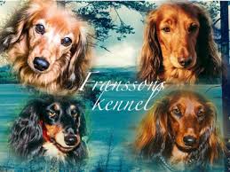 Carl soderberg happy in many ways. Kennelsponsorer Drev Sm Ovre Norrlands Taxklubb